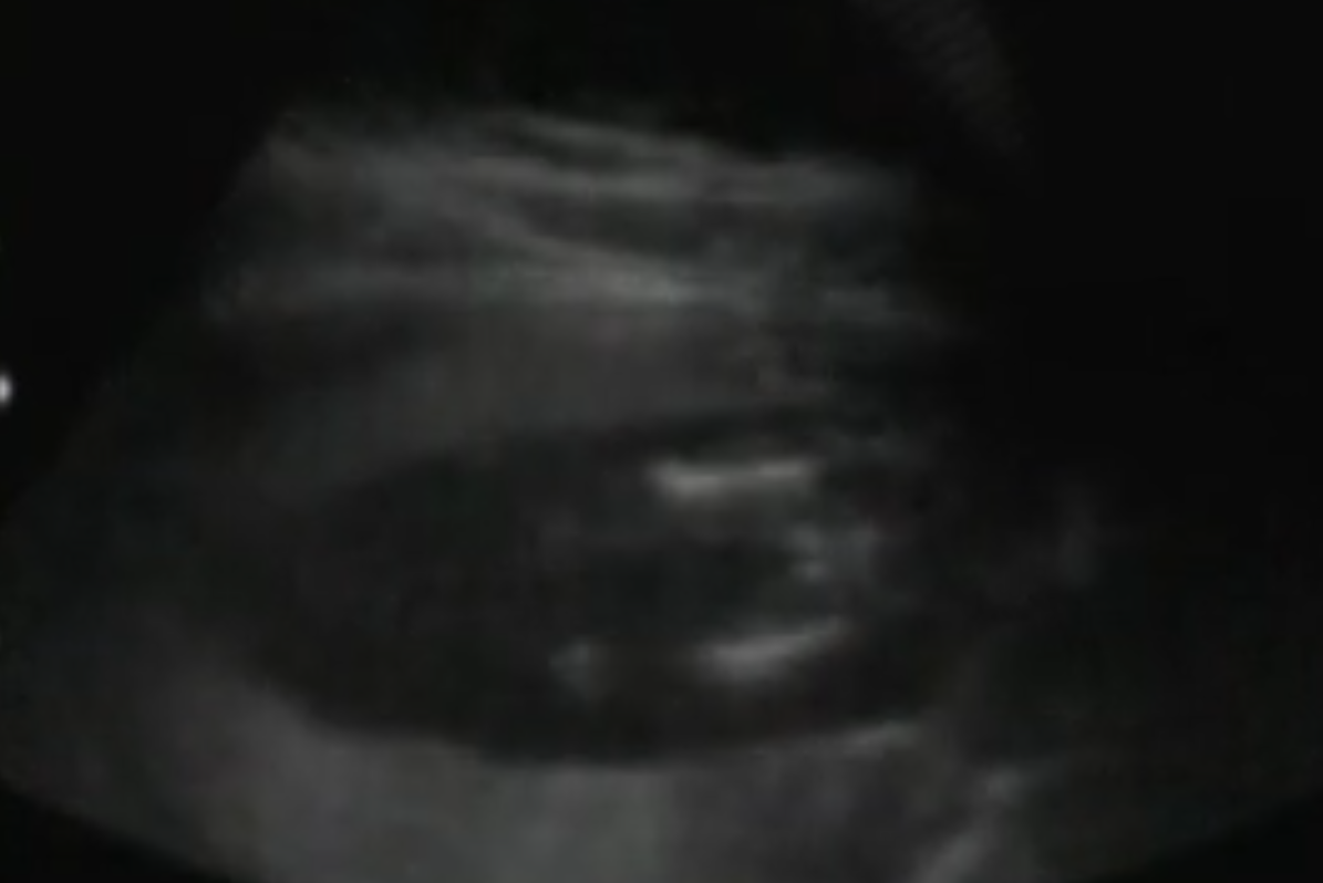 img_/2011/002_junho2011_a_certeza.png